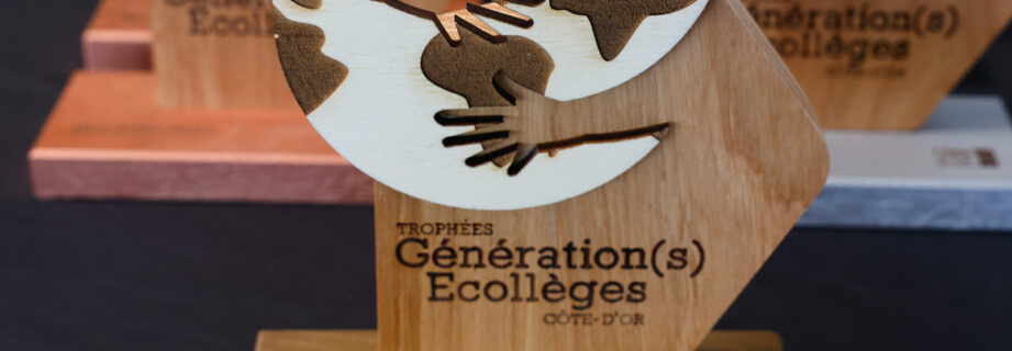 Trophees-e-colleges.jpg